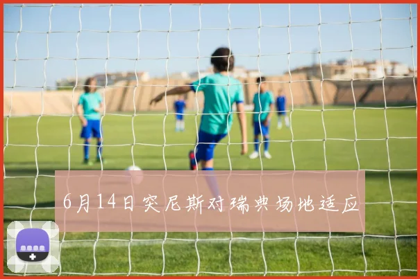 6月14日突尼斯对瑞典场地适应