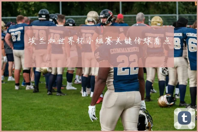 埃兰加世界杯小组赛关键传球看点