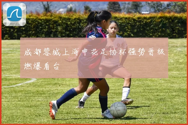 成都蓉城上海申花足协杯强势晋级燃爆看台