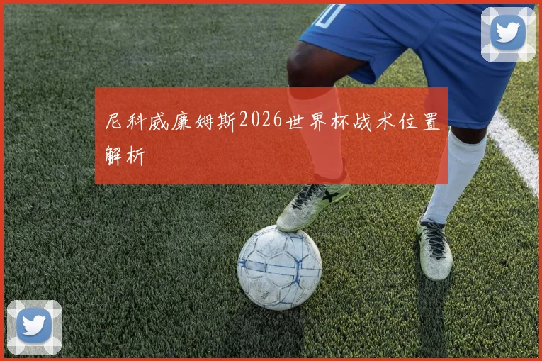 尼科威廉姆斯2026世界杯战术位置解析